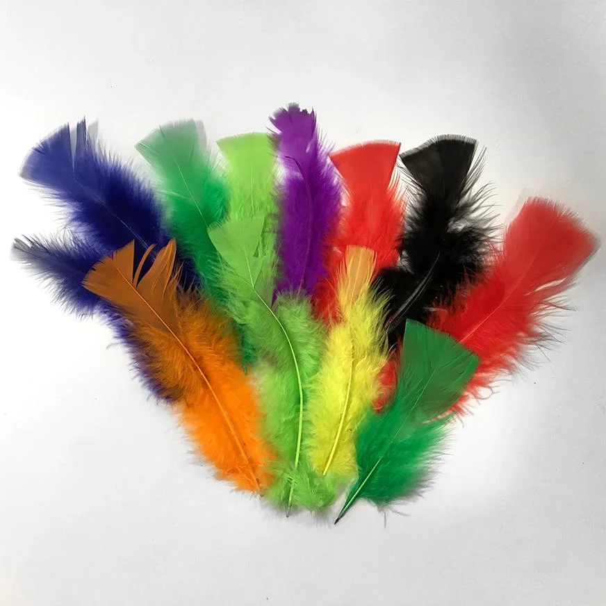 PLUMAS