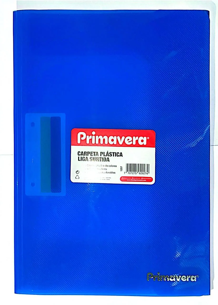 CARPETA - ESTANDAR - UNIDAD