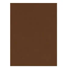 CARTULINA - 1-ago - PAQUETE X10