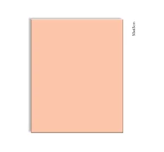 CARTULINA - 1-ago - PAQUETE X10