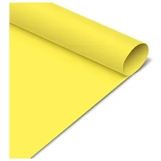 CARTULINA - PLIEGO - ROLLO X10