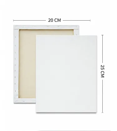 LIENZO 20X30